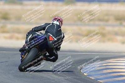 media/Apr-10-2022-SoCal Trackdays (Sun) [[f104b12566]]/Turn 11 Backside (945am)/